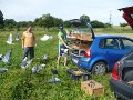 Trénink holoubat - 4.8.2012