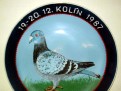 Historie chovu poštovních holubů v Červených Janovicích